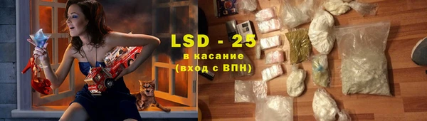 стафф Алзамай