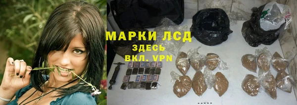 стафф Алзамай