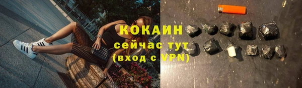 бошки Абаза
