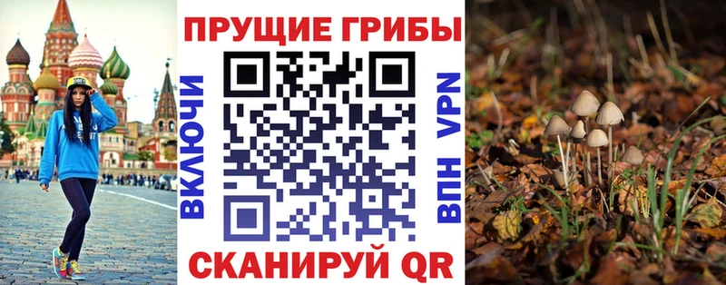 Псилоцибиновые грибы MAGIC MUSHROOMS  как найти   Россошь 
